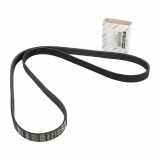 Fiat Keilrippenriemen Alfa Romeo 159 Brera Coupe Spider 55193360