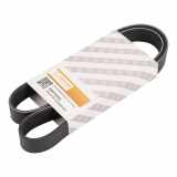 Keilrippenriemen 7K1076 passend für Fiat Ducato 244/250 500388408