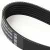 Dayco Keilrippenriemen 6K1045 60666949 Bild Dayco Keilrippenriemen 6K1045 60666949
