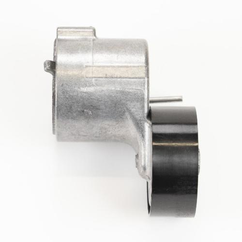Dayco Flachriemenspannrolle mit Spannarm Dayco 55282321 Bild Dayco Flachriemenspannrolle mit Spannarm Dayco 55282321