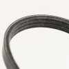 Keilrippenriemen 3PK856EE 55227895 Bild Keilrippenriemen 3PK856EE 55227895