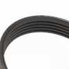 STRETCHY-BELT 5K0595 55193361 Bild STRETCHY-BELT 5K0595 55193361
