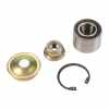 Radlagersatz hinten (1 Seite) 7701205812