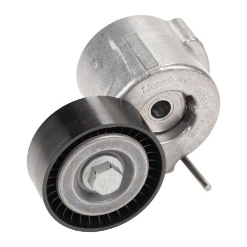 Dayco Flachriemenspannrolle mit Spannarm Dayco 55282321 Bild Dayco Flachriemenspannrolle mit Spannarm Dayco 55282321