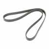 Keilrippenriemen 6K1253-6 71744462 Bild Keilrippenriemen 6K1253-6 71744462