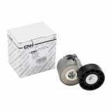 Original Iveco Flachriemenrolle mit Spannarm Ducato 250 3,0 JTD 504086948