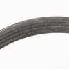 STRETCHY-BELT 4KS924 71718443 Bild STRETCHY-BELT 4KS924 71718443
