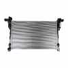 Motorkühler 6000618062 Bild Motorkühler 6000618062