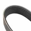 Keilrippenriemen 6K1100 9615208980 Bild Keilrippenriemen 6K1100 9615208980