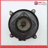 Lautsprecher Tür Links MERCEDES S-KLASSE COUPE C215 CL500 225 KW 2158200302 293041 171801