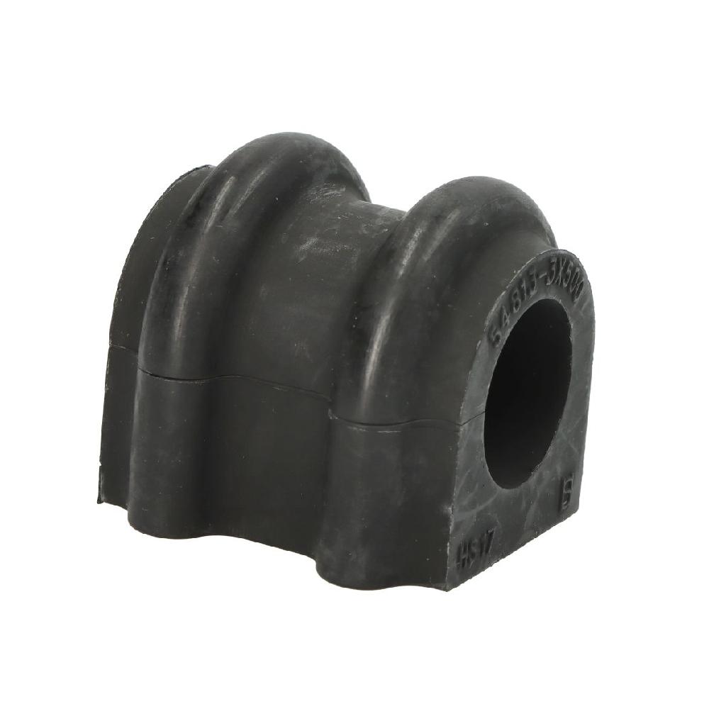 Lagerung, Stabilisator Vorderachse CTR GV0296