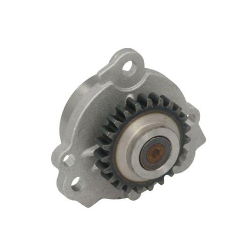 Ölpumpe NE 191053000700 Bild Ölpumpe NE 191053000700