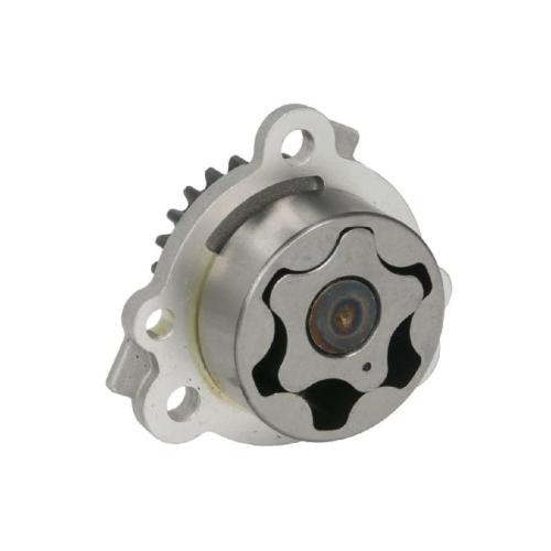 Ölpumpe NE 191053000700 Bild Ölpumpe NE 191053000700