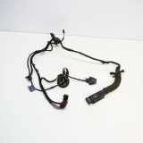 Türverkabelung hinten links AUDI A4 (8K2, B8) 2.0 TDI 8K0971687AG