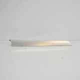 Türpolsterverkleidung hinten links AUDI A4 (8K2, B8) 2.0 TDI 8K0867419