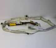 SRS Modul Dach links AUDI A3 (8P1) 2.0 TDI 8P4880741H