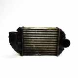 Ladeluftkühler VW Passat B5.5 (3B3) 059145805