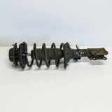 Stoßdämpfer vorne links HYUNDAI GETZ (TB) 1.5 CRDi RAUDONA RAUDONA