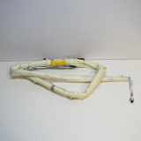 Dach SRS rechts VW GOLF V Variant (1K5) 1.9 TDI 1K0880742C