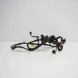 Kabel der vorderen linken Tür AUDI A5 (8T3) 1.8 TFSI 8T0971029B