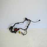 Kabel Tür VW Tiguan I (5N) 5N1971121G