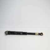 Stoßdämpfer hinten links