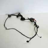 Türverkabelung hinten rechts AUDI Q7 (4L) 3.0 TDI quattro 4L0971687AH