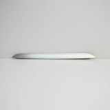 Türpolsterverkleidung vorne rechts VW PASSAT CC (357) 2.0 TDI 3C8867410A