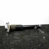 Stoßdämpfer links hinten BMW X5 (F15, F85) 6851763