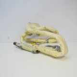 Dach SRS rechts VW GOLF V Variant (1K5) 1.9 TDI 1K0880742B