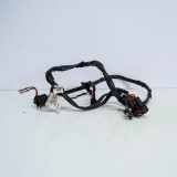 Kabelbaum AUDI A6 Avant (4F5, C6) 3.0 TDI quattro 4F2971284E