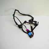 Türverkabelung hinten links VW PHAETON (3D_) 3.0 V6 TDI 4motion 3D0971693BA