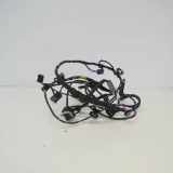 Kabelbaum BMW X5 (F15, F85) sDrive 25 d T1029001Z