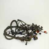Motor Kabelbaum AUDI A4 Avant (8K5, B8) 2.0 TDI