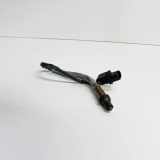 Sauerstoffsensor (Lambdasensor) SKODA SUPERB II (3T4) 1.6 TDI 03L906262