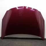 Motorhaube OPEL INSIGNIA A (G09) 1.8 (68)