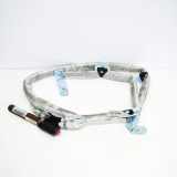 SRS Modul Dach links AUDI A6 Avant (4F5, C6) 2.0 TDI 4F9880741A