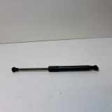 Gasfeder für Motorhaube Audi Q5 (8R) 8R0823359A