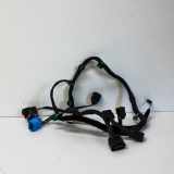 Türverkabelung hinten rechts VW PHAETON (3D_) 3.0 V6 TDI 4motion 3D0971694BA