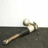 Stoßdämpfer links hinten VW Phaeton (3D) 3D0616001K