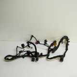 Kabel der vorderen linken Tür VW PHAETON (3D_) 3.0 V6 TDI 4motion 3D0971615P