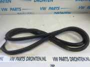 Türgummi rechts vorne VW Polo VI AW 2G4867912C