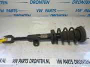 Federbein rechts vorne Alfa Romeo Giulia 952 50547065