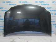 Motorhaube VW Polo IV 9N, 9A