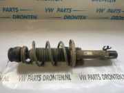 Federbein links vorne Seat Ibiza IV ST 6J 6R0413031F