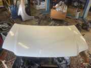 Motorhaube VW Caddy III Kasten 2KA 1T0823031D