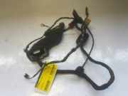 Kabelbaum VW Transporter T5 Kasten 7H0971036JK