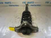 Federbein rechts vorne Skoda Octavia II 1Z 8E0413031CT