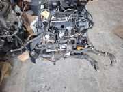 Motor ohne Anbauteile (Diesel) Skoda Fabia II 542 123456