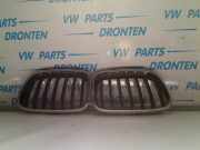 Kühlergrill BMW X3 F25 511172E